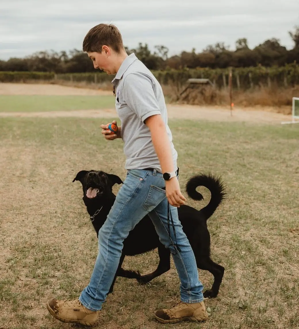 Dog playfully walking with owner outside.