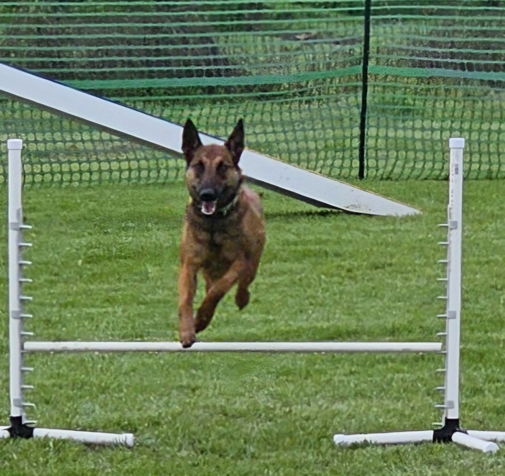 Agility