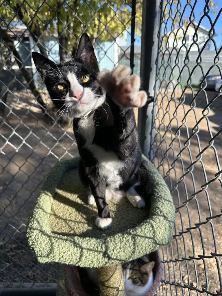 Image_20241103_145659_283