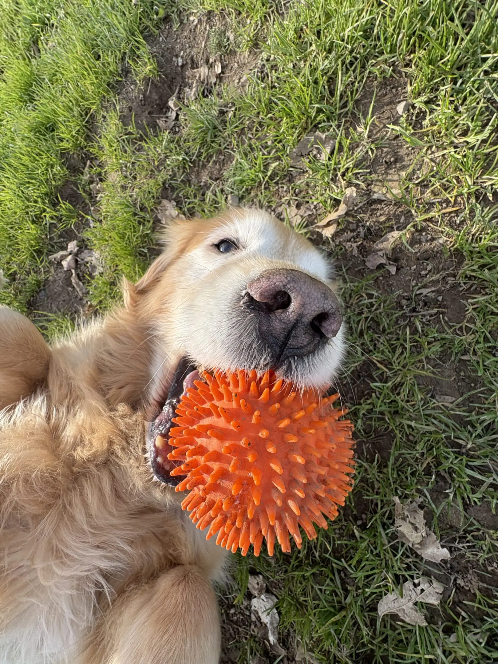 Image_20260117_144916_985