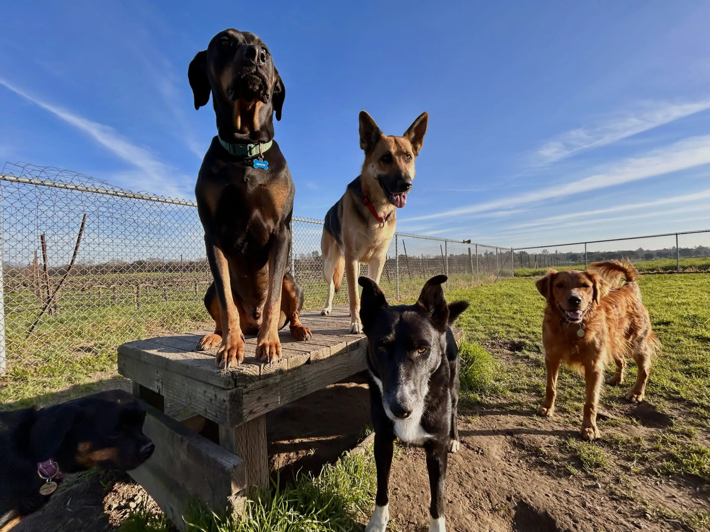 Image_20260126_230232_464