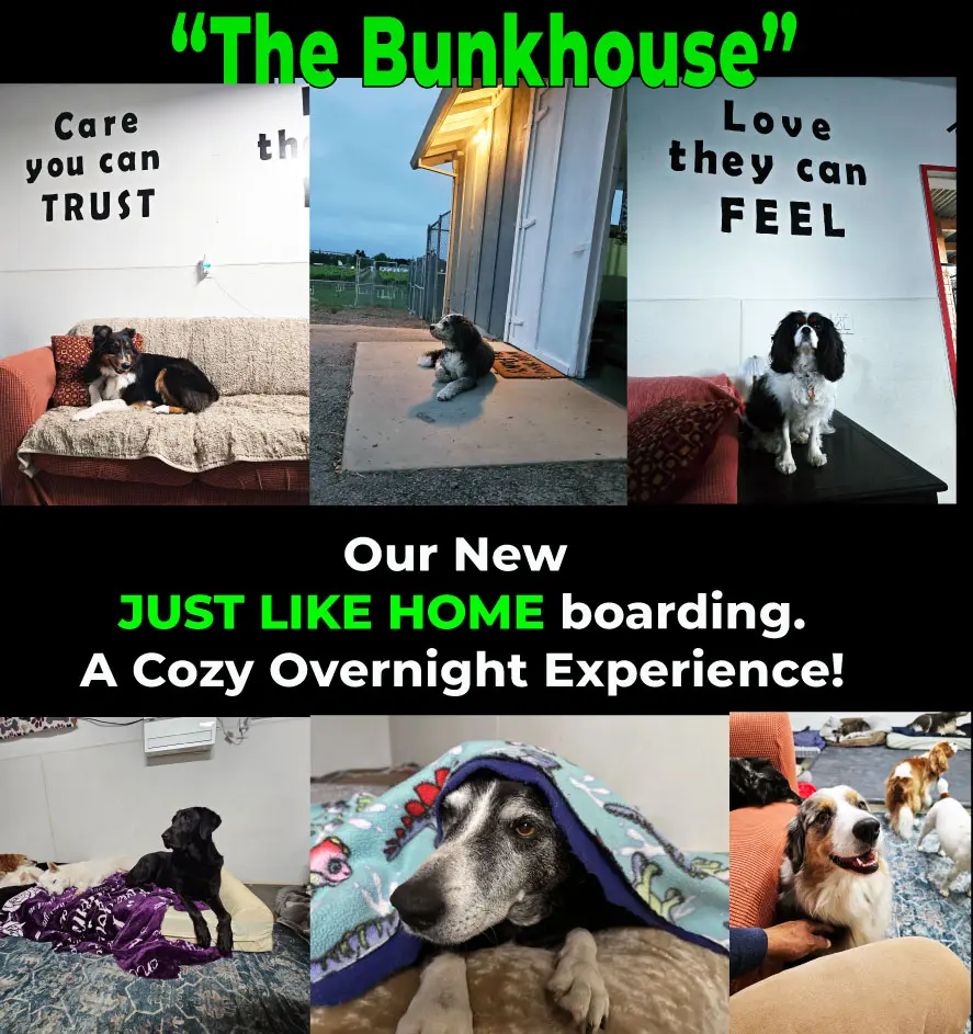 email-Bunkhouse-Home-Page-2