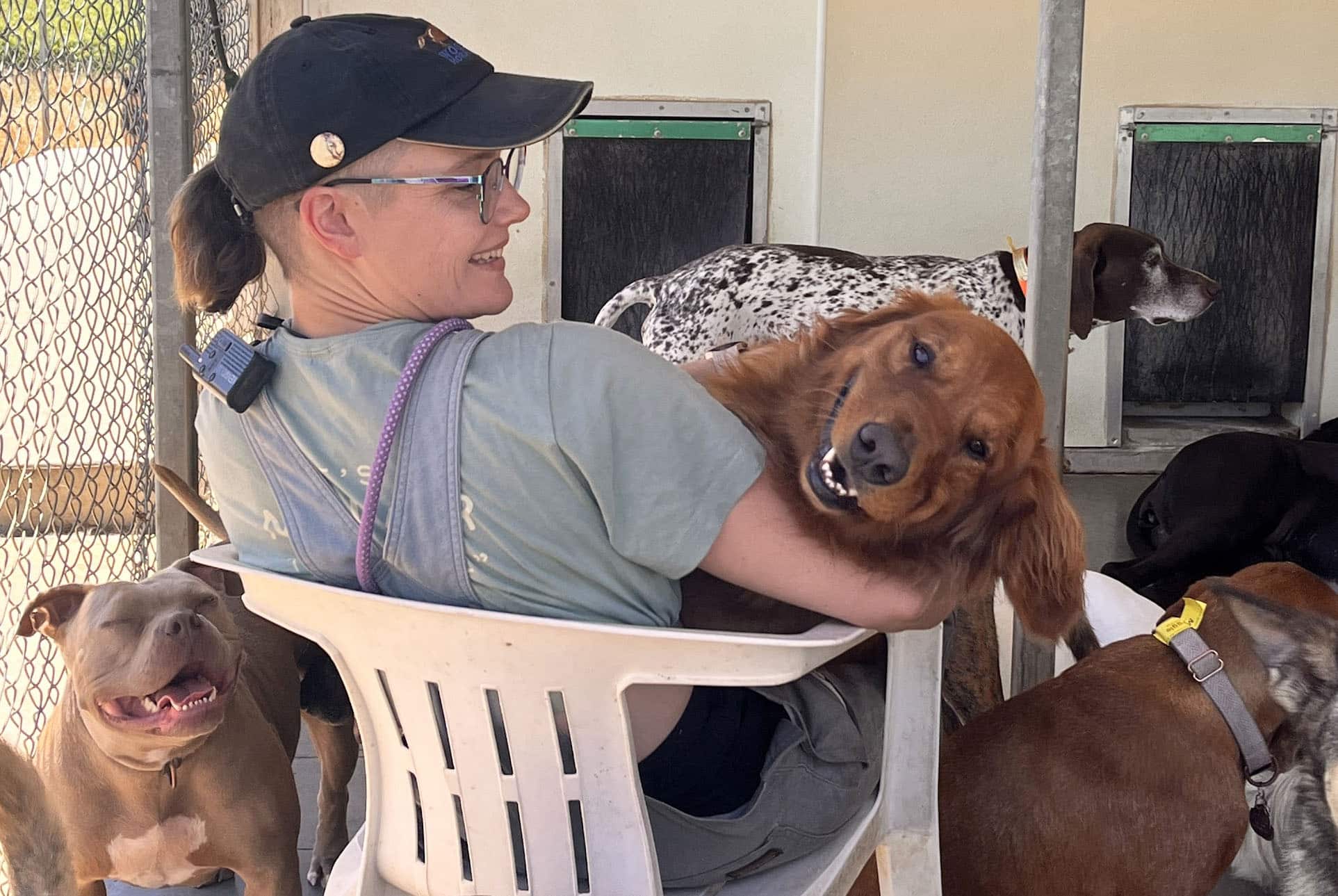 staff memeber with dogs in a daycare setting.