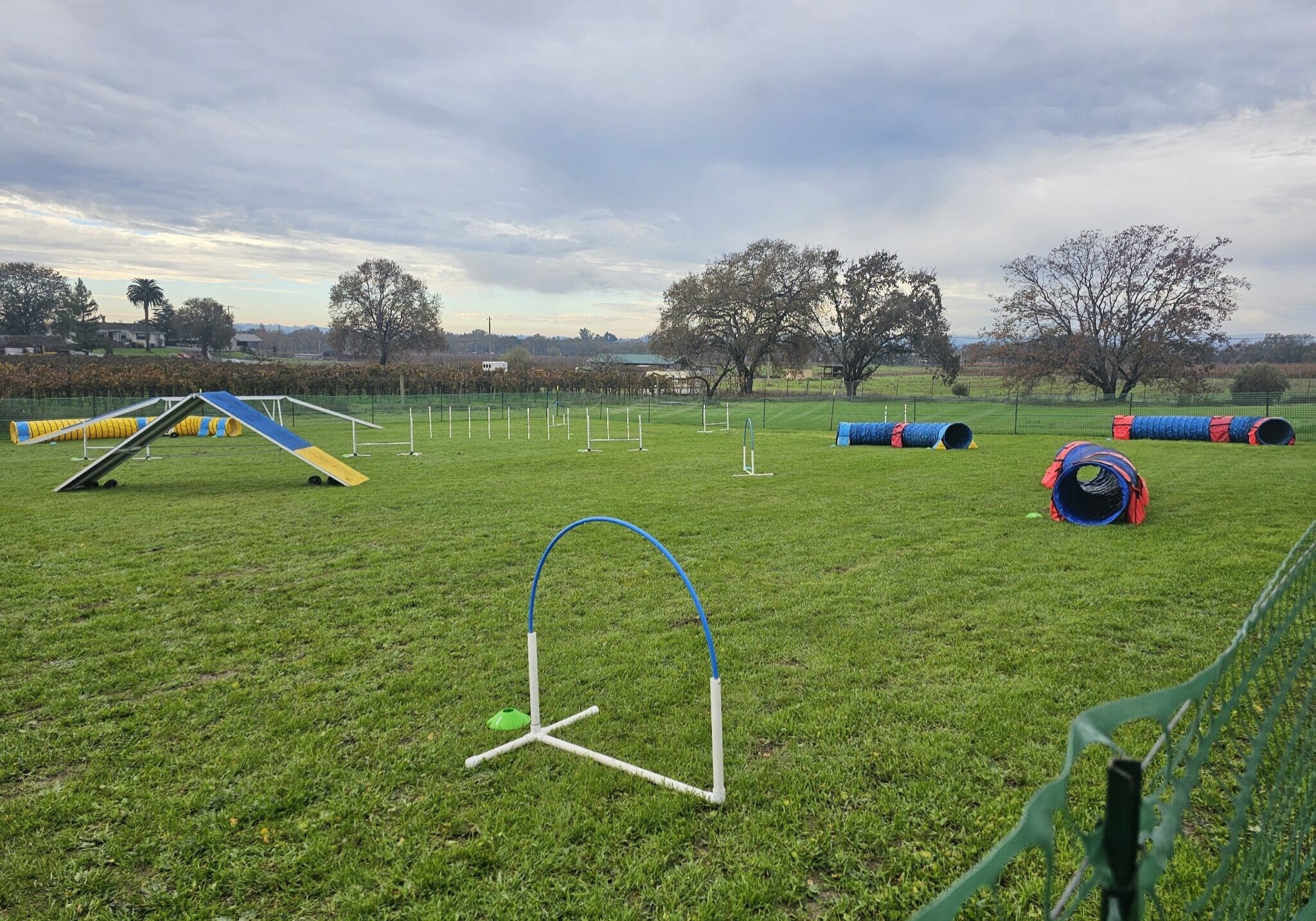 agility field